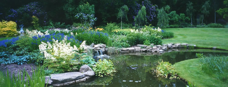 landscape gardeners Hampton - Plantsmanship